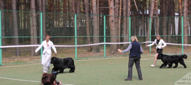 Фотография № 66988