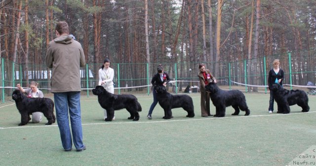 Фотография № 66990