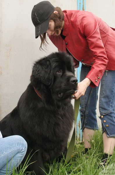 Фотография № 66992