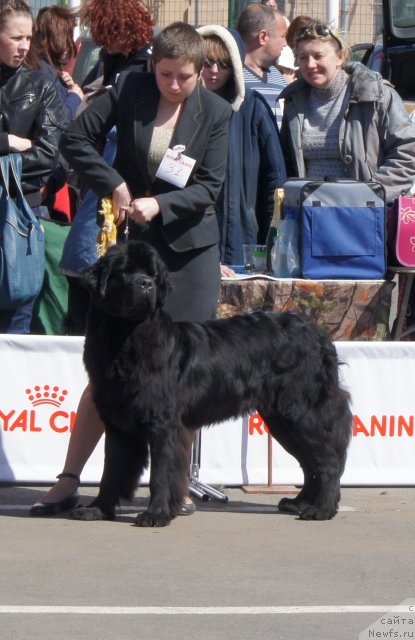 Фотография № 67017