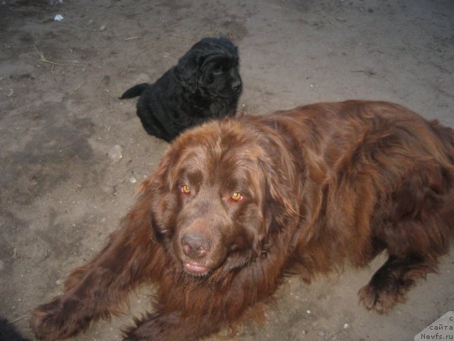 Фото: Юрмала