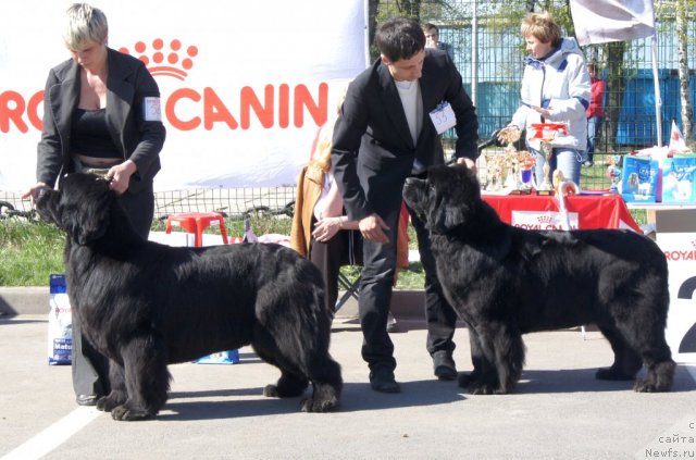 Фотография № 67021