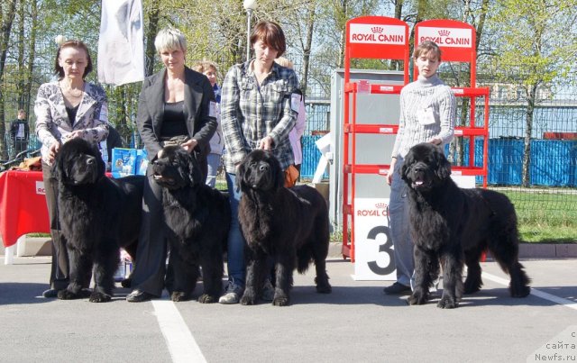 Фотография № 67026