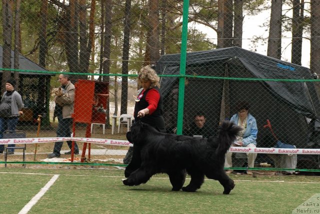 Фотография № 67028