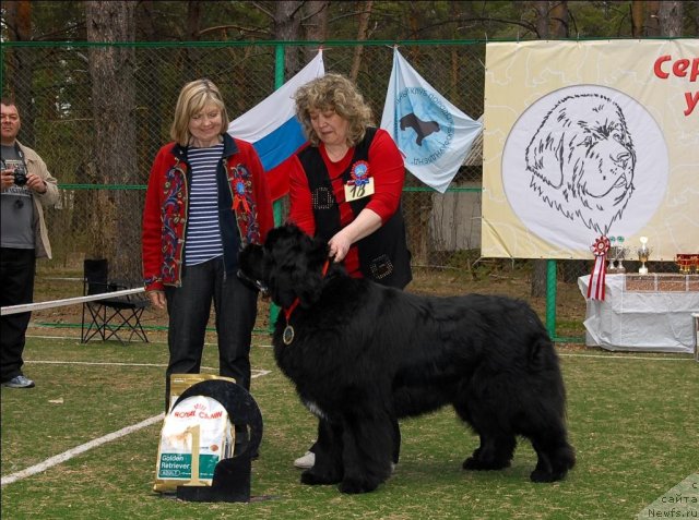 Фотография № 67034