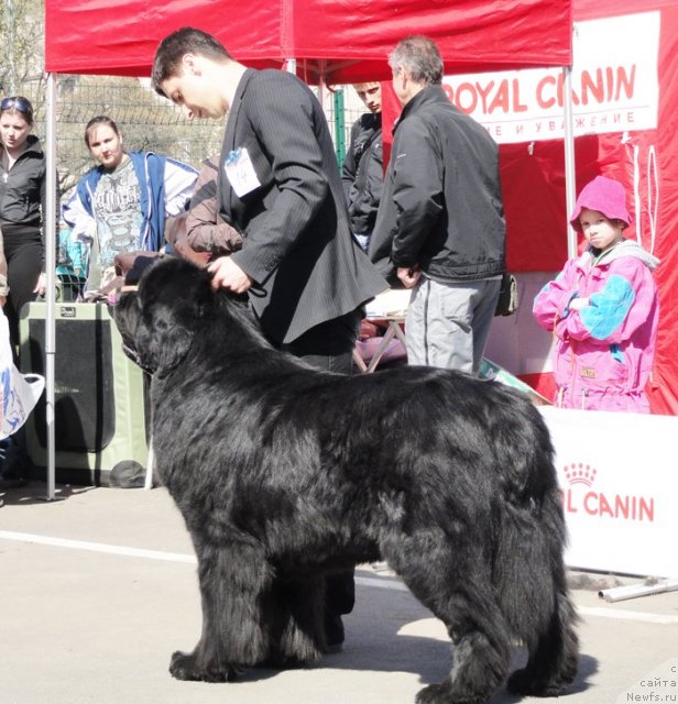 Фотография № 67037