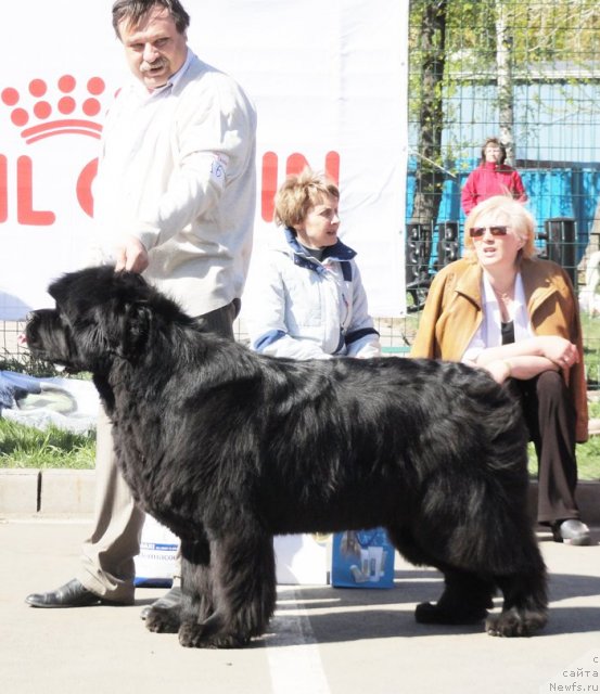 Фотография № 67043