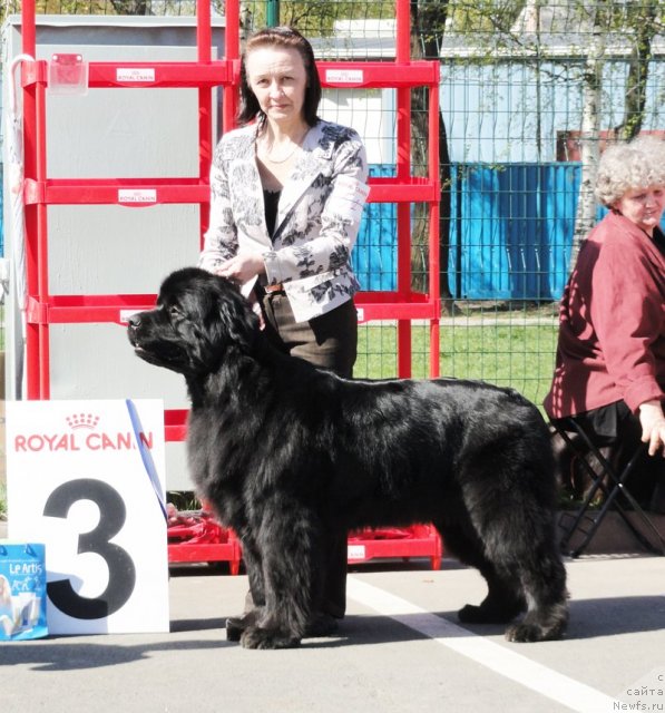 Фотография № 67050