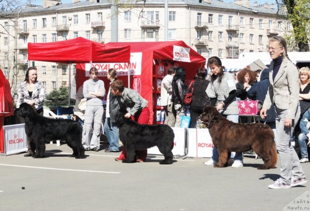 Фотография № 67055