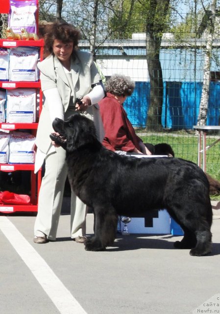 Фотография № 67062