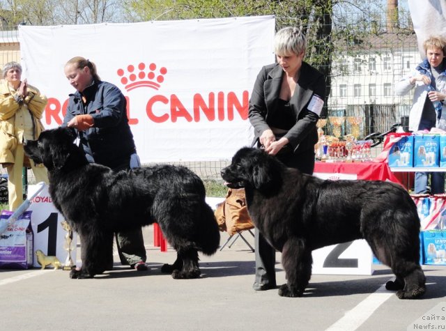 Фотография № 67066