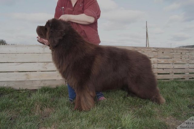 Фотография № 67271