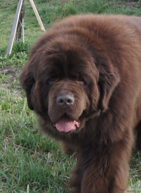 Фотография № 67274