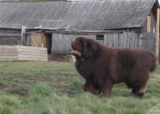 Фотография № 67275