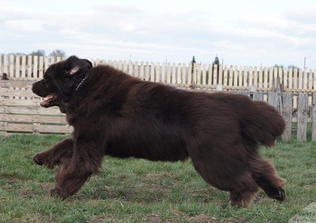 Фотография № 67279