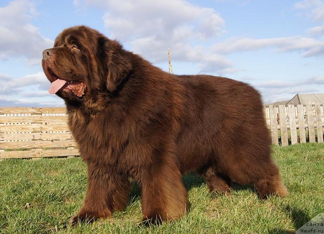 Фотография № 67282