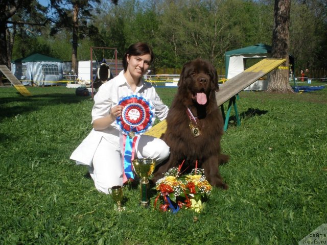 Фотография № 67349