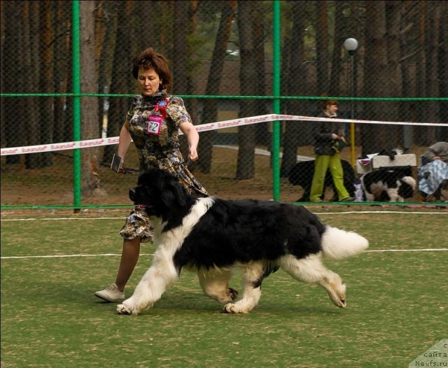 Фотография № 67408