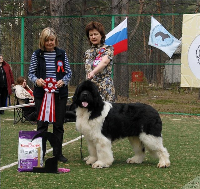 Фотография № 67414