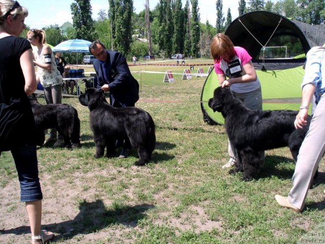 Фотография № 67496