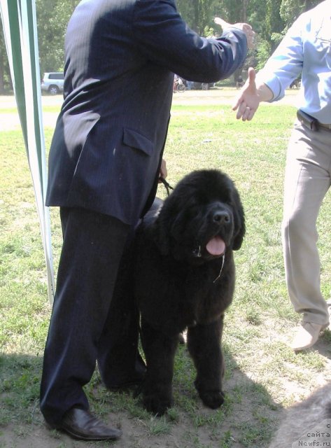 Фотография № 67497