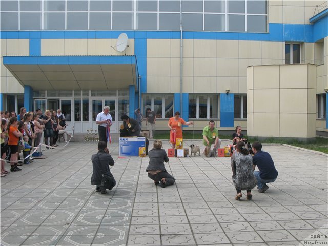 Фотография № 67500