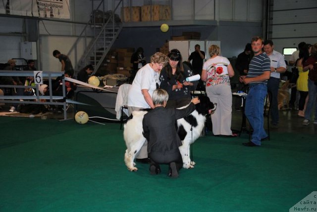 Фотография № 67527