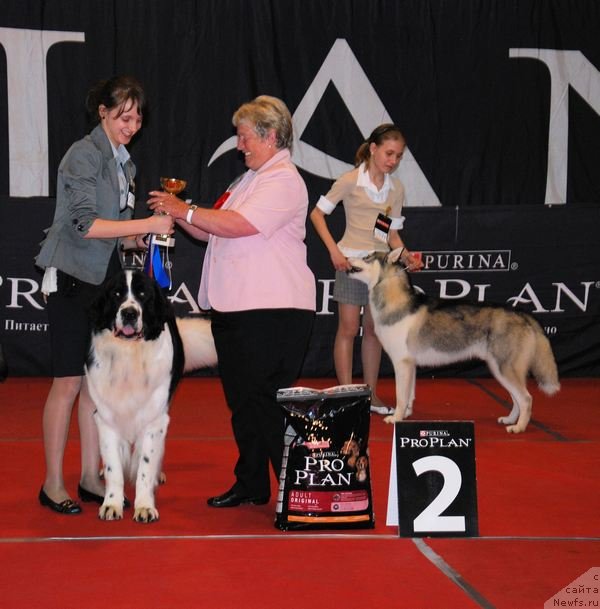 Фотография № 67529