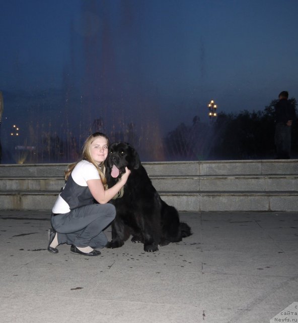 Фото: ньюфаундленд Rembrant Tvorec SHedevrov (Рембрант Творец Шедевров)