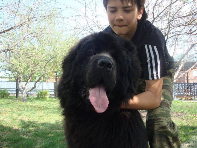 Фотография № 67544