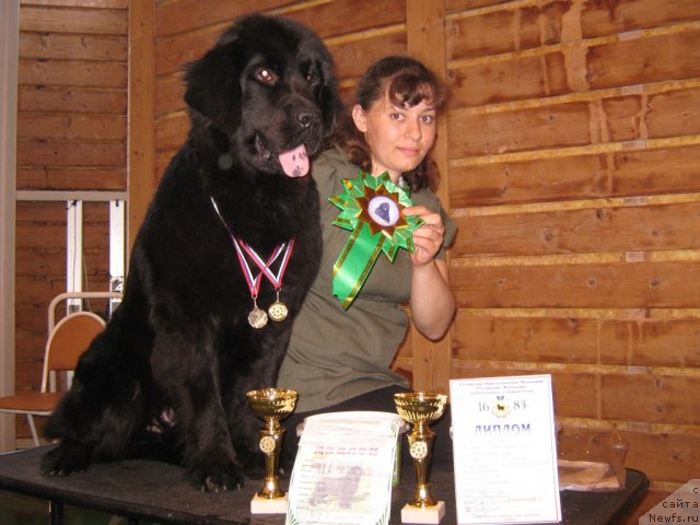 Фотография № 67545