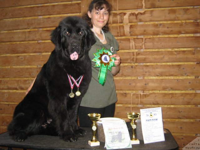 Фотография № 67546