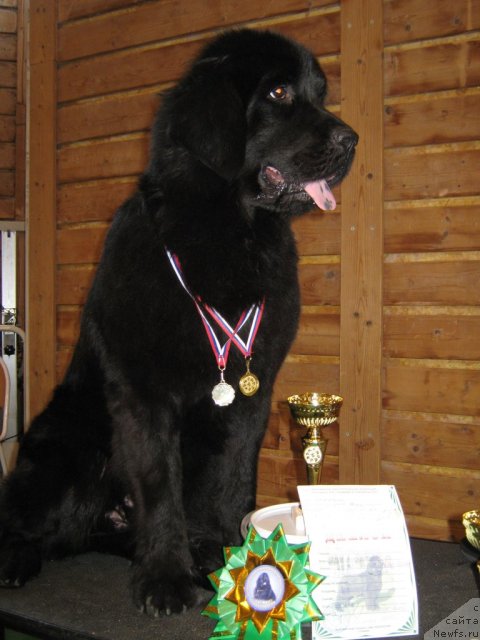 Фотография № 67547