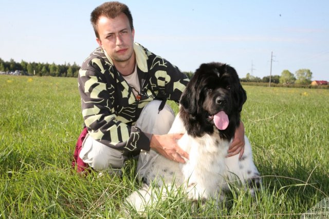 Фото: Aleksandr Rozenfel'd (Александр Розенфельд), ньюфаундленд Akvian Song Zero Graviti (Аквиан Сонг Зеро Гравити)