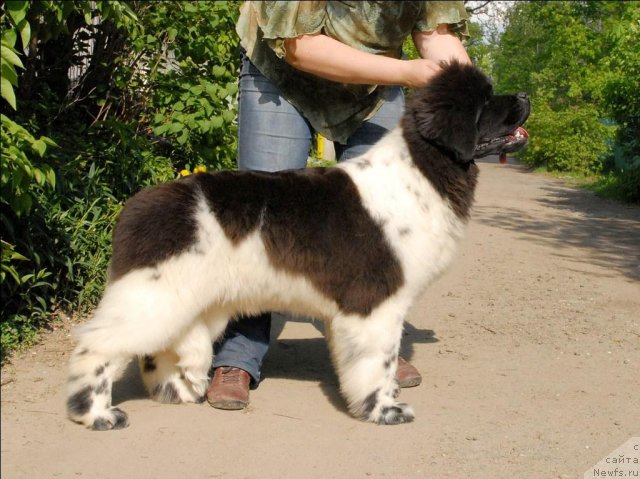 Фотография № 67563