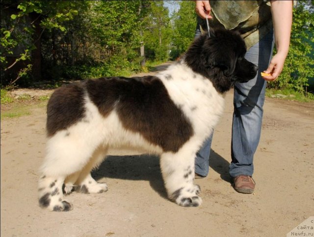 Фотография № 67564