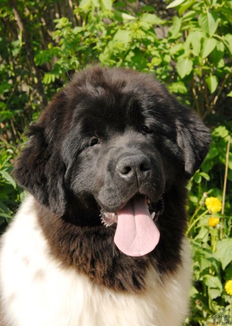 Фотография № 67565