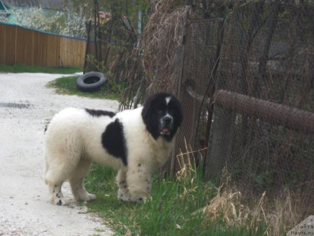 Фотография № 67580