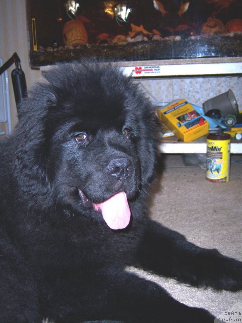 Фотография № 67586