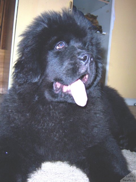 Фотография № 67589