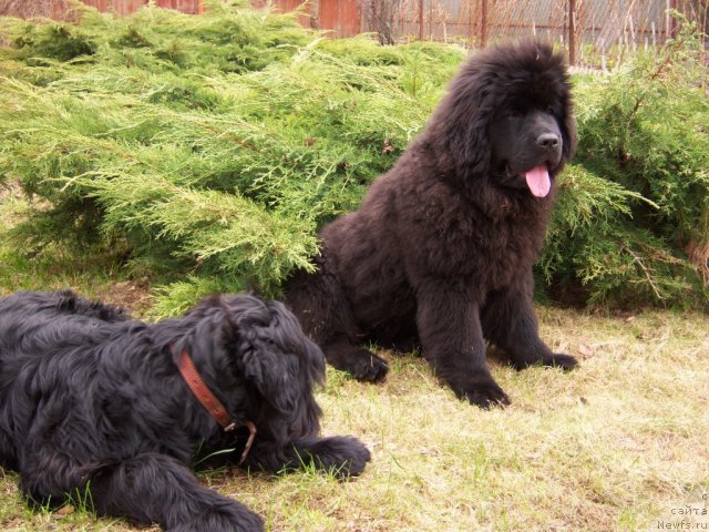 Фотография № 67591