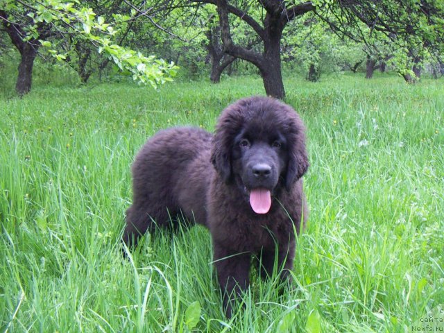 Фотография № 67595