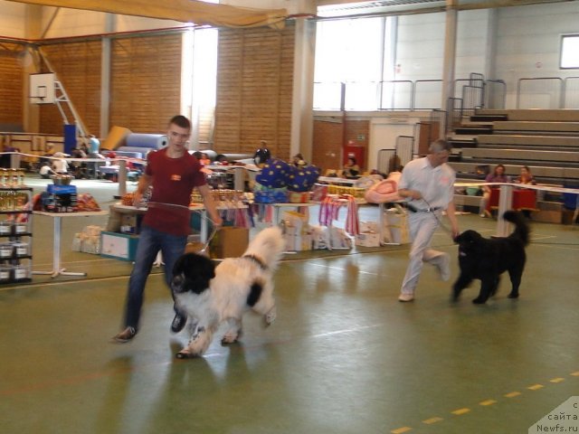 Фотография № 67602