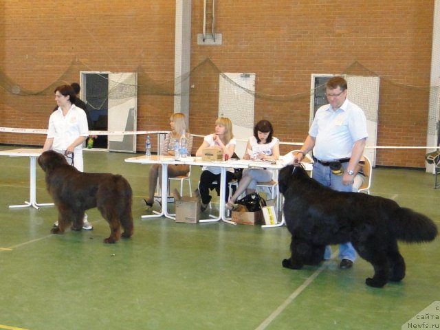 Фотография № 67603