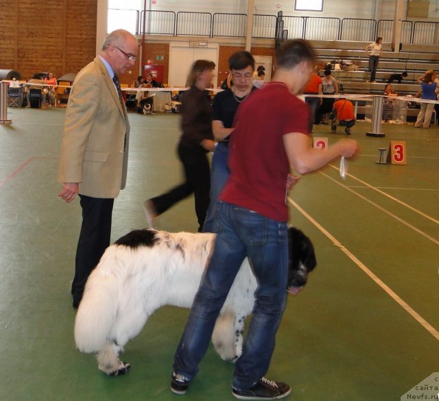 Фотография № 67610