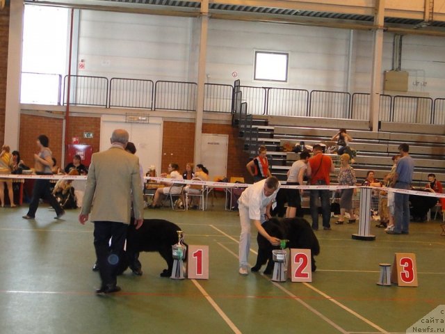 Фотография № 67613