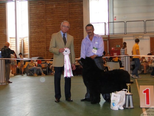 Фотография № 67625