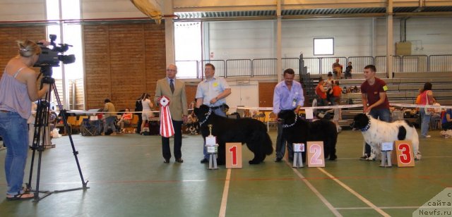 Фотография № 67627