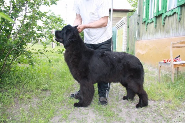 Фотография № 67640