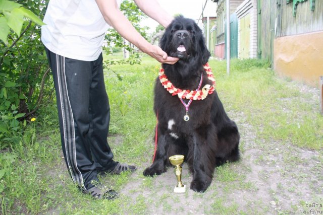 Фотография № 67641